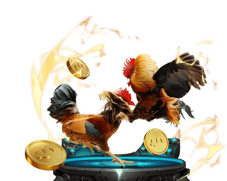 Hình ảnh hướng dẫn cơ bản cho người mới bắt đầu cá cược